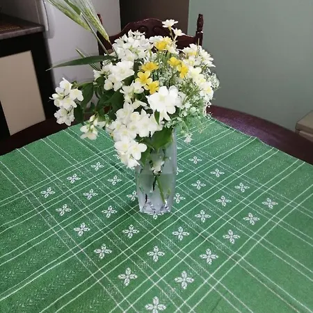 Airport T&t Apartamento