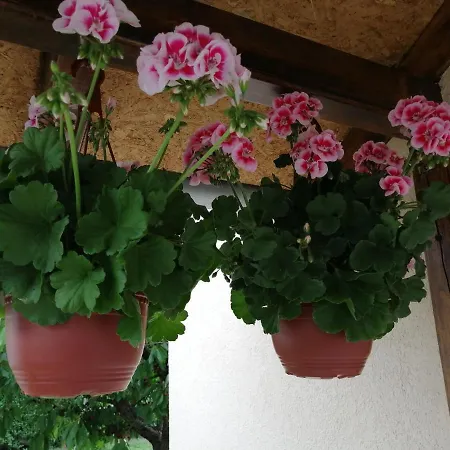 Airport T&t Apartamento