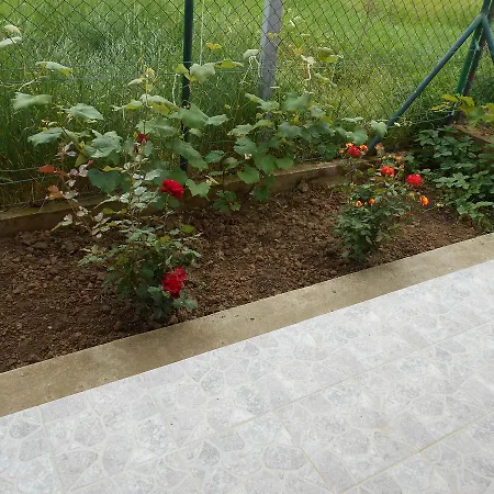 Apartmán Airport T&t Surčin