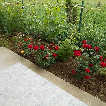 Apartamento Airport T&t *